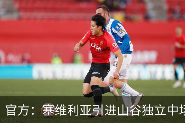 官方：塞维利亚引进山谷独立中场梅尔卡多的转会告吹